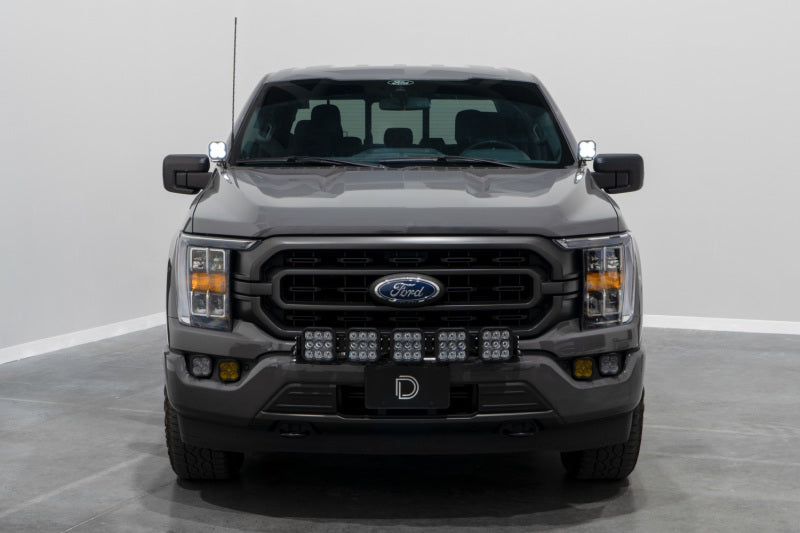 Diode Dynamics 21-22 Ford F-150 SSC2 Stage Series Backlit Ditch Light Kit - Pro White Combo