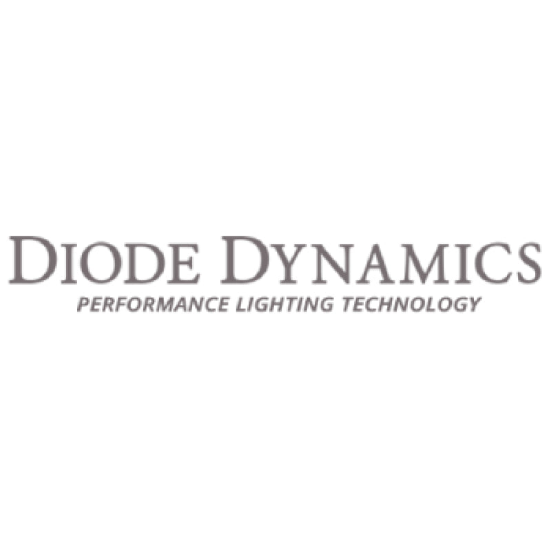 Diode Dynamics 19-21 Ford Ranger Stage Series 2in LED Ditch Light Kit - Pro White Combo